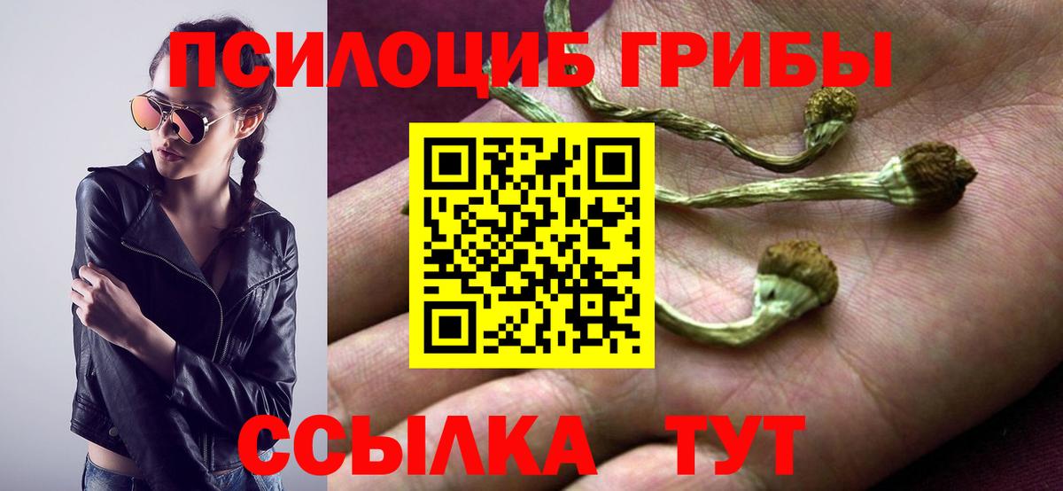 Псилоцибиновые грибы мицелий  Вход с VPN  Елизово 