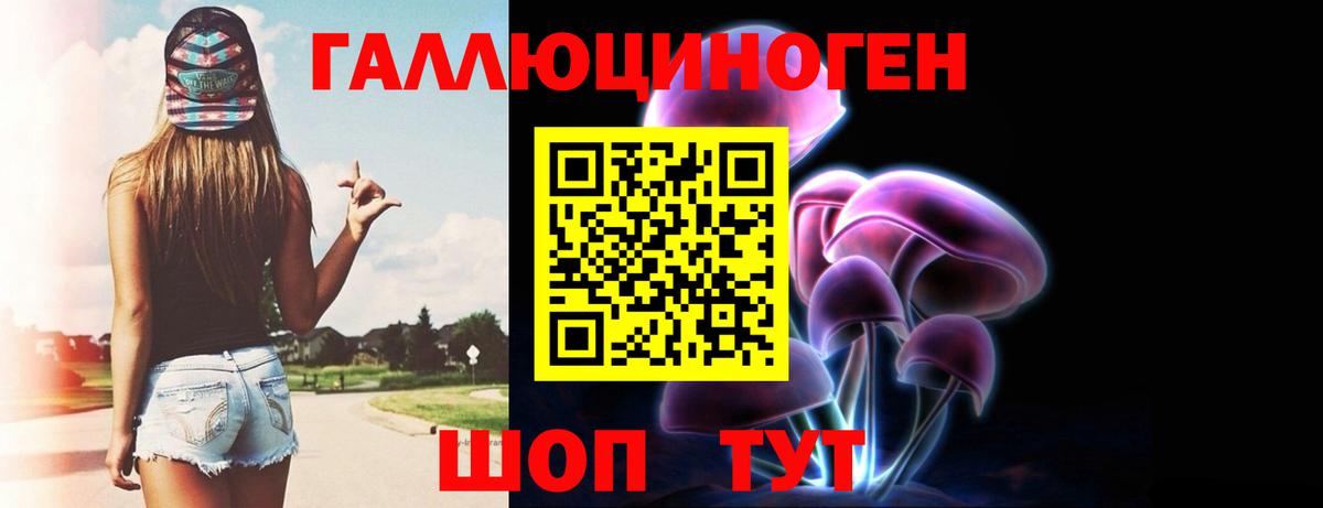 Галлюциногенные грибы Psilocybe Елизово